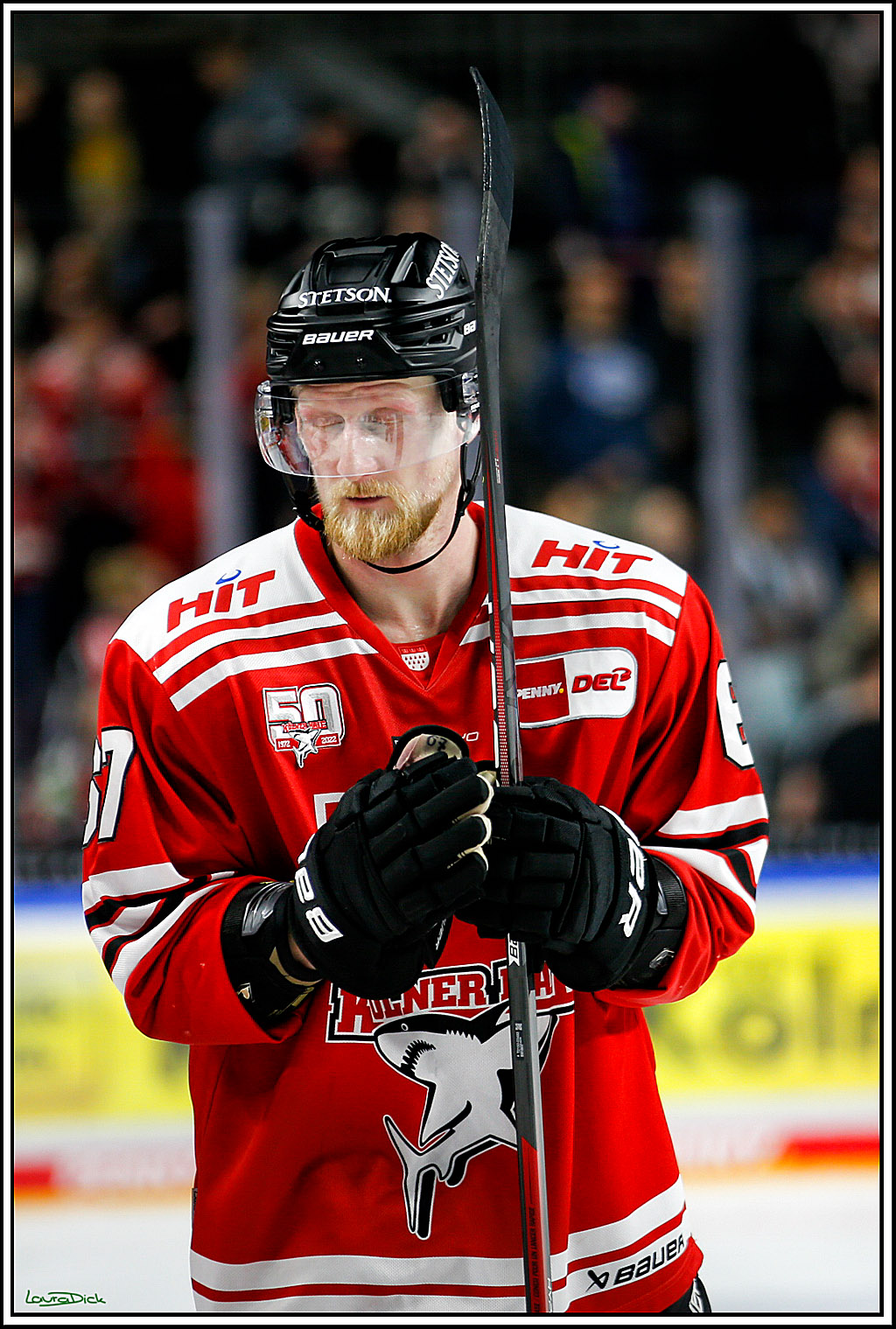 PENNY DEL; Koelner Haie- Red BUll Muenchen; Koeln, 08.11.2022